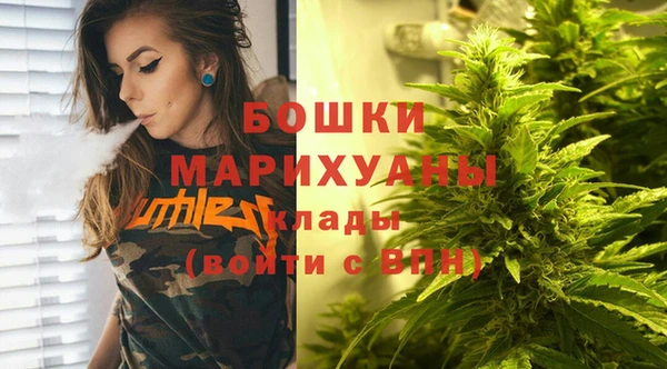 крисы Краснослободск