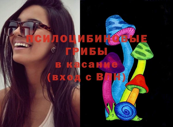 ПСИЛОЦИБИНОВЫЕ ГРИБЫ Красноперекопск
