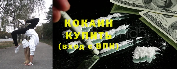 крисы Краснослободск
