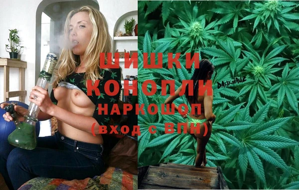 крисы Краснослободск