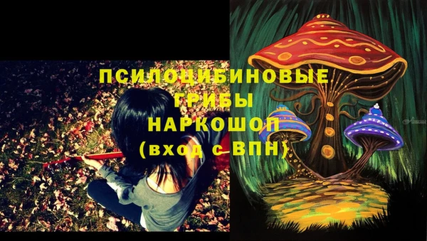ПСИЛОЦИБИНОВЫЕ ГРИБЫ Красноперекопск