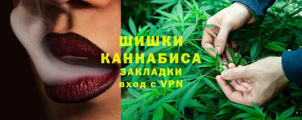 крисы Краснослободск